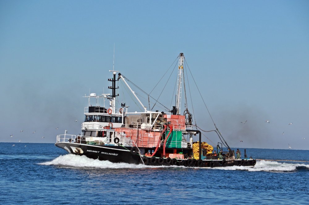 Karadeniz’de balık avcılığına sıkı denetim