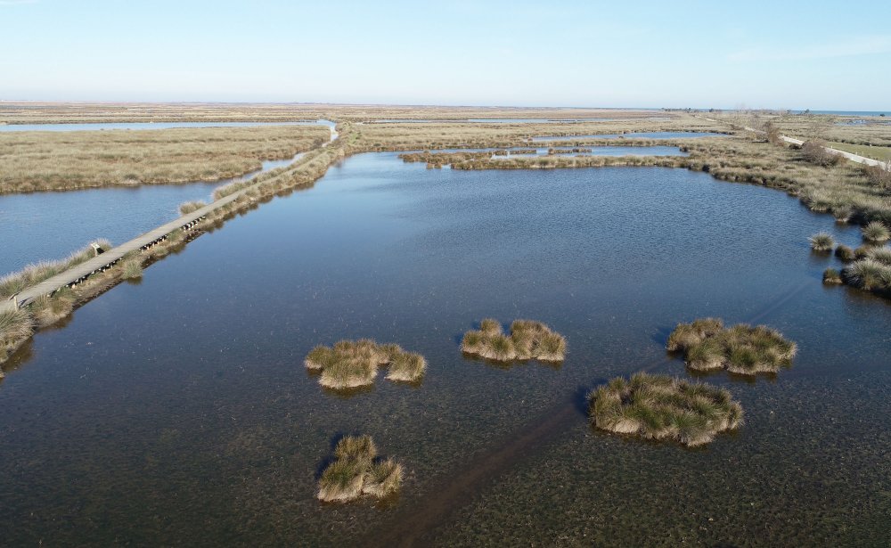 Karadeniz'in tuzlu suyunun sızdığı delta, tehdit altında