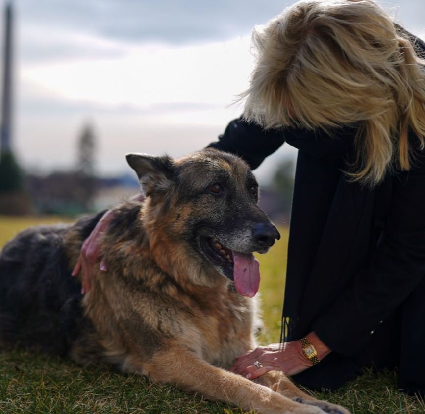 ABD Başkanı Joe Biden sahiplendiği iki köpeği Beyaz Saray’a taşıdı