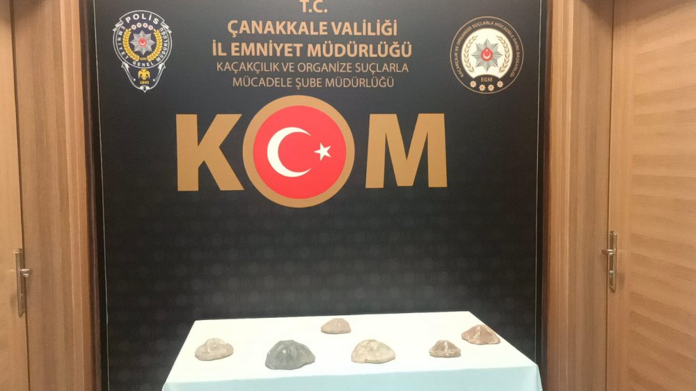 Çanakkale'de 6 deniz yıldızı fosili ele geçirildi