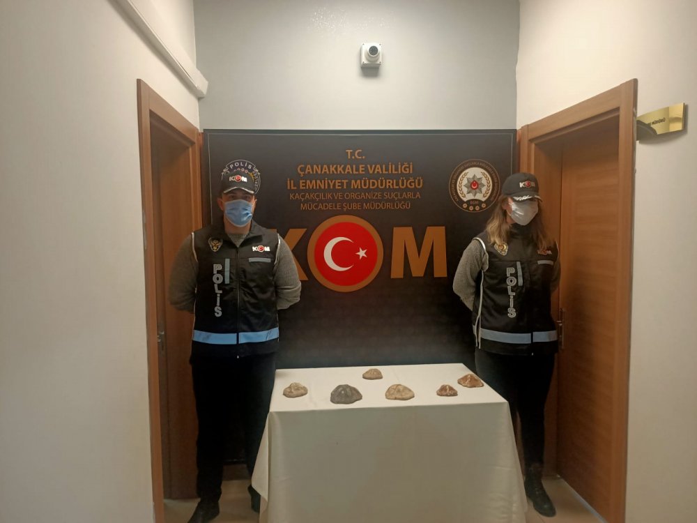Çanakkale'de 6 deniz yıldızı fosili ele geçirildi