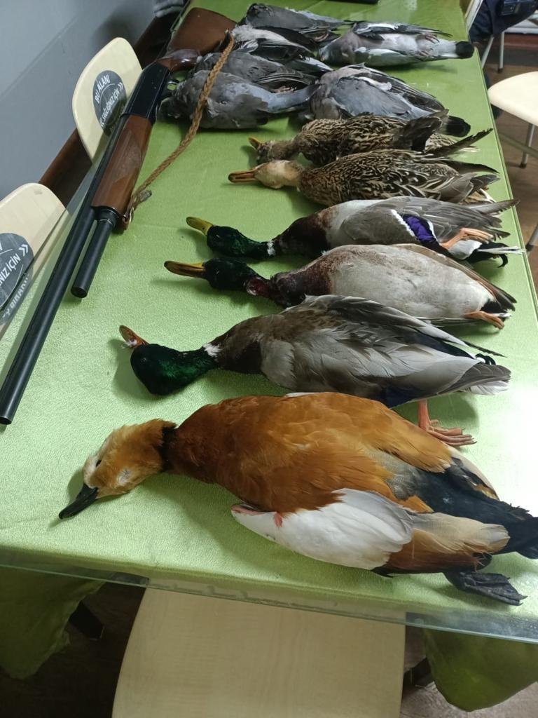 Kaçak avcı jandarmanın yol uygulamasında yakalandı:13 bin 878 lira ceza