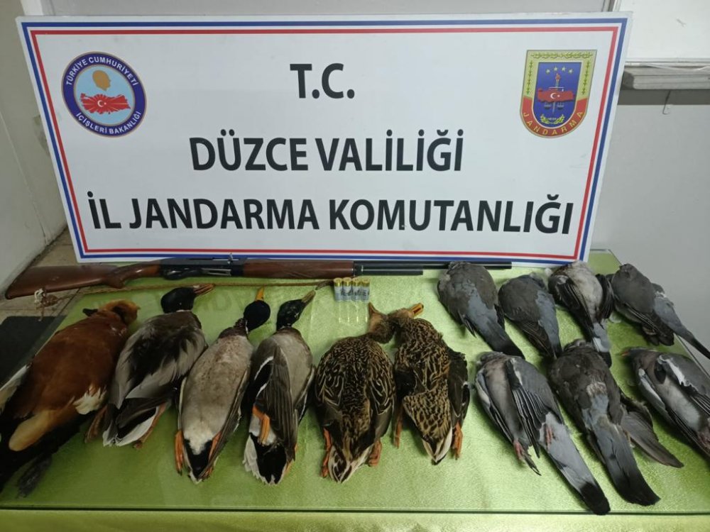 Kaçak avcı jandarmanın yol uygulamasında yakalandı:13 bin 878 lira ceza