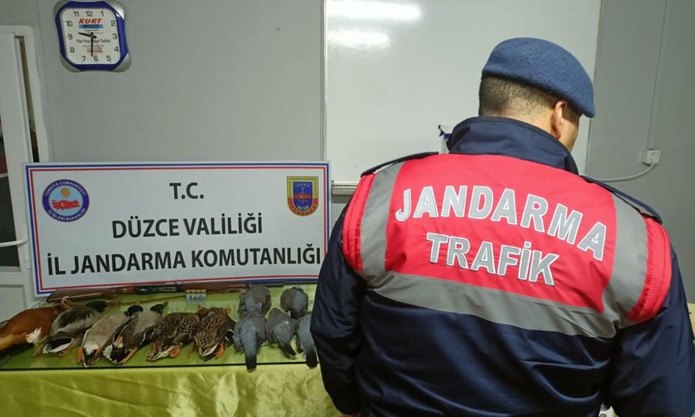 Kaçak avcı jandarmanın yol uygulamasında yakalandı:13 bin 878 lira ceza