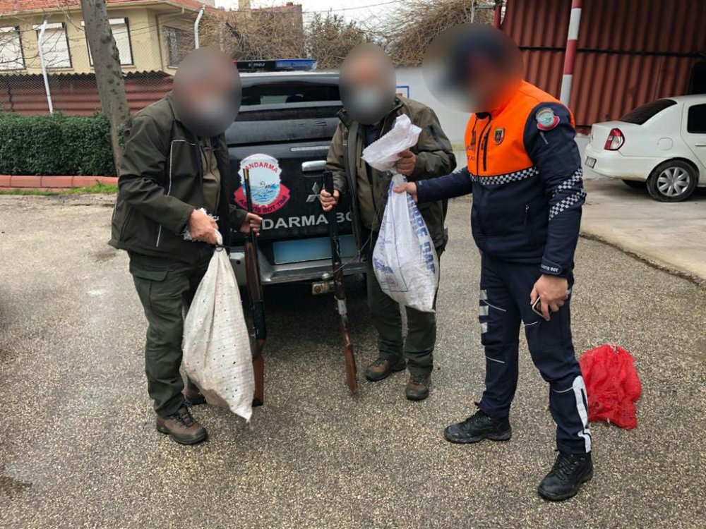 Jandarma, kaçak avcıların 'mühre' olarak kullandıkları ördekler ile silahlarına el koydu