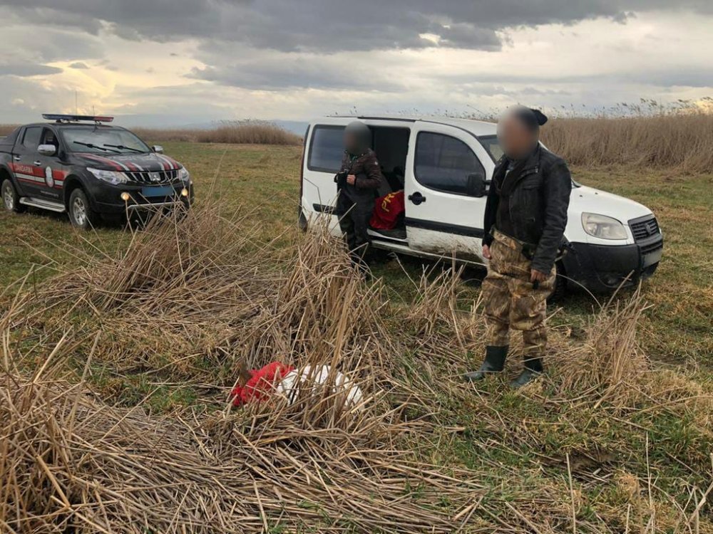 Jandarma, kaçak avcıların 'mühre' olarak kullandıkları ördekler ile silahlarına el koydu