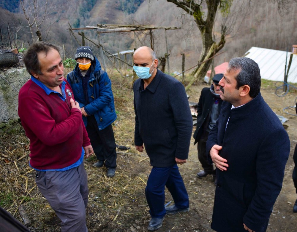 Ordu’da iki ayrı yangında, 400 tavuk ile 9 büyükbaş telef oldu