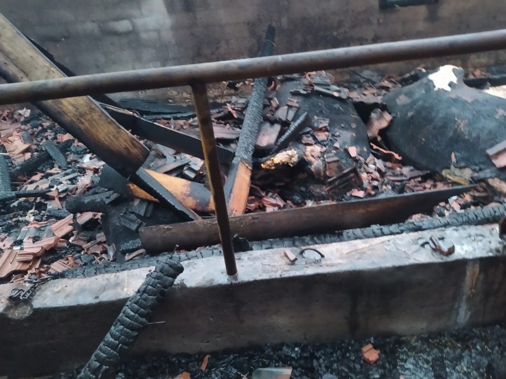 Ordu’da iki ayrı yangında, 400 tavuk ile 9 büyükbaş telef oldu