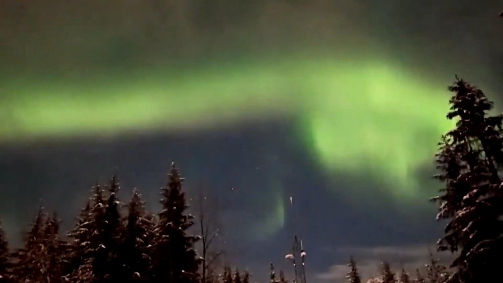 Alaska semalarında Kuzey Işıkları'nın müthiş şovu