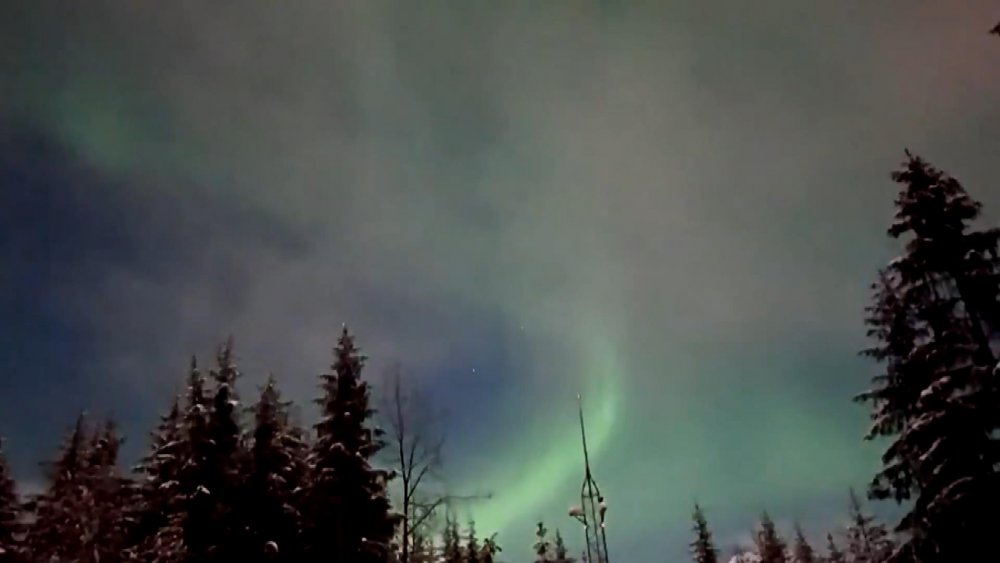 Alaska semalarında Kuzey Işıkları'nın müthiş şovu
