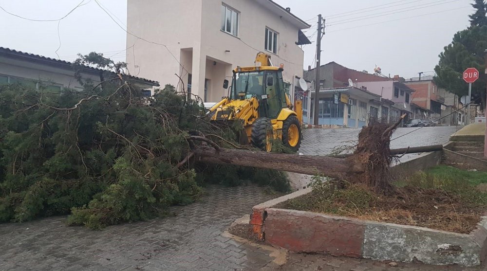 Denizli'de şiddetli rüzgar çatıları uçurdu, ağaçları söktü