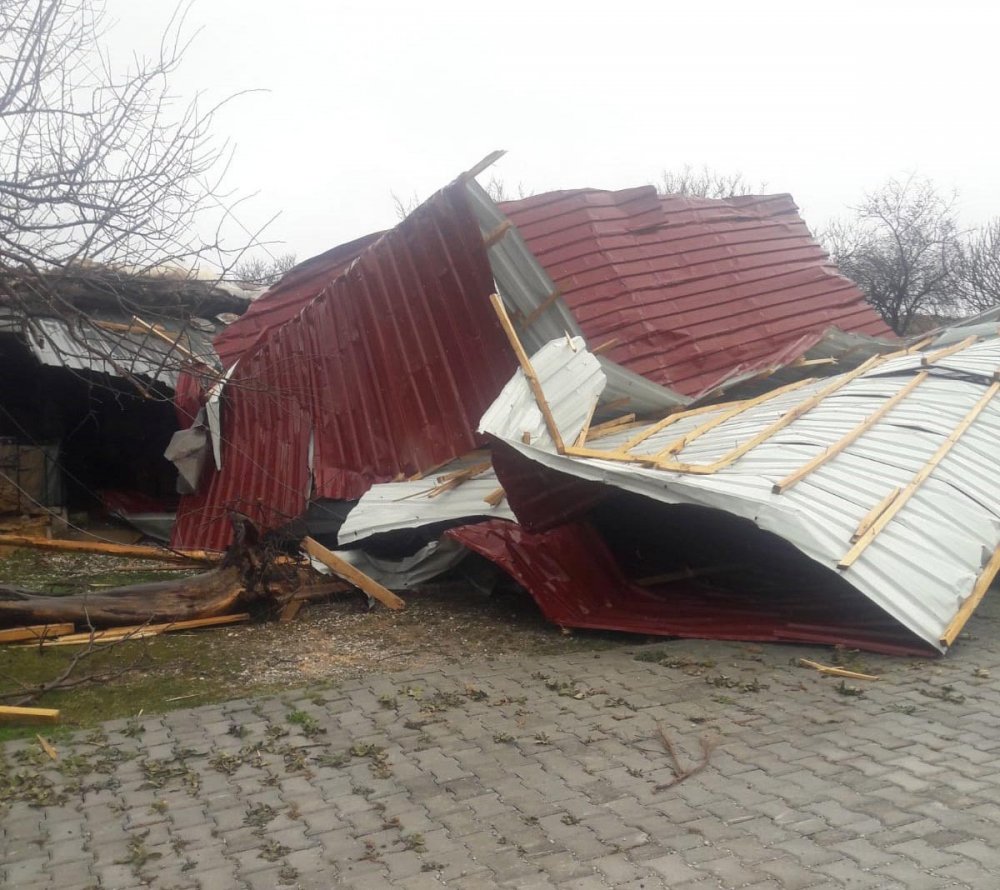Denizli'de şiddetli rüzgar çatıları uçurdu, ağaçları söktü