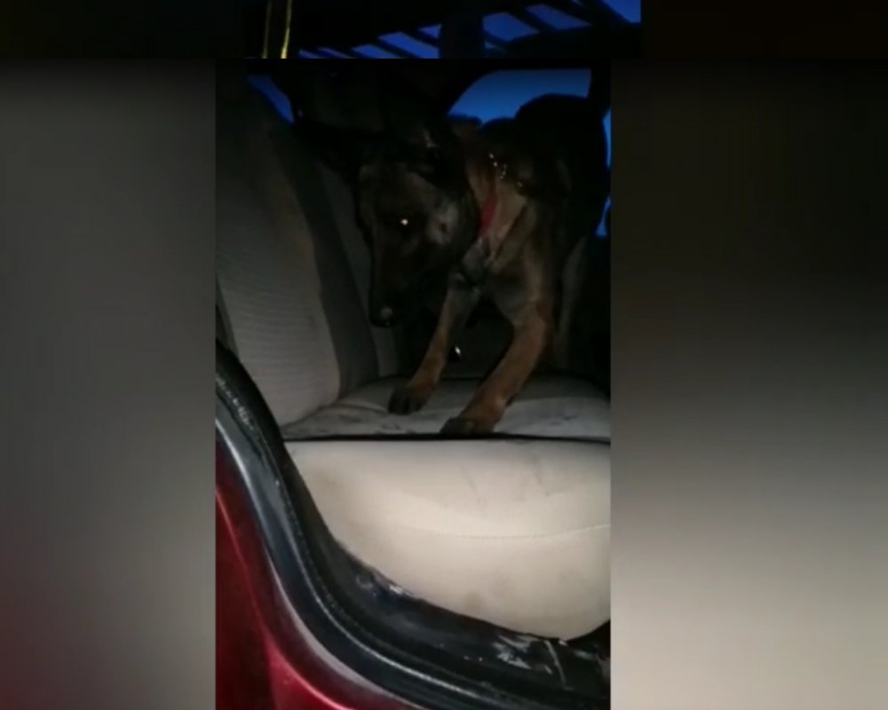 Çekiciyle taşınan otomobilden 22 kilo esrar ele geçirildi