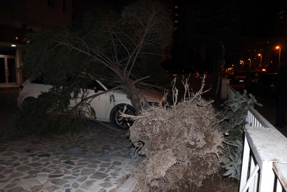 Kayseri'de şiddetli rüzgar ağaçları devirdi, çatıları uçurdu