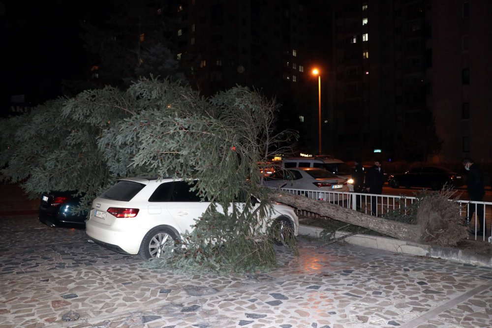 Kayseri'de şiddetli rüzgar ağaçları devirdi, çatıları uçurdu