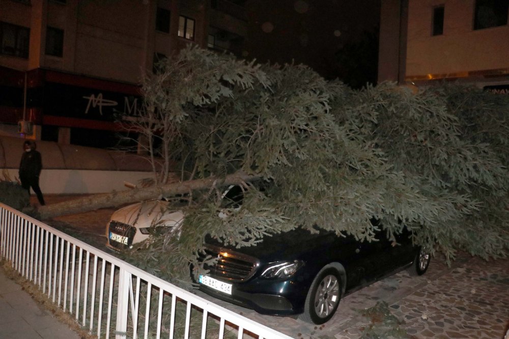 Kayseri'de şiddetli rüzgar ağaçları devirdi, çatıları uçurdu