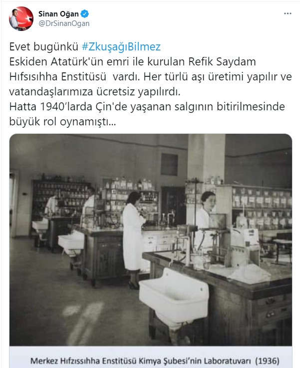 z6.jpg