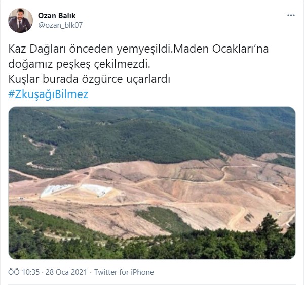 z7.jpg