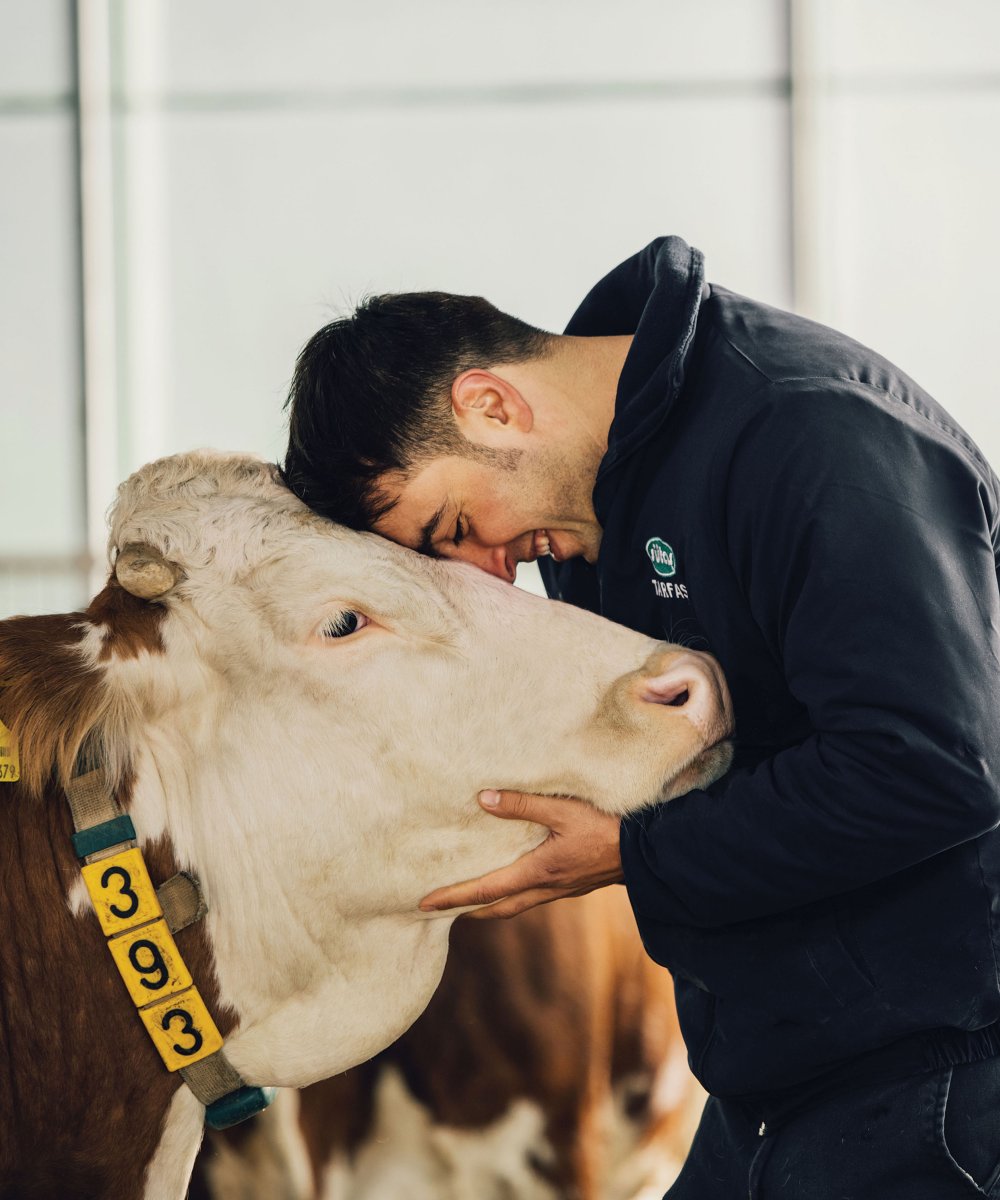 Bakan Varank: Bu bölgelerimizin terörle anılma dönemi artık bitmiştir