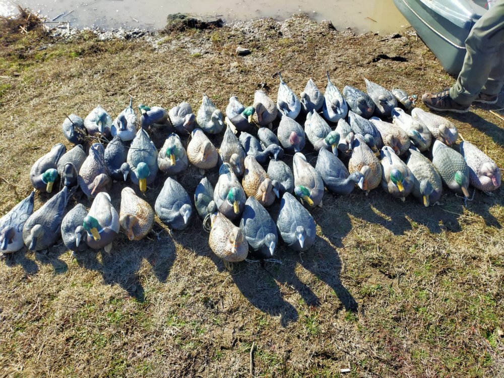 Milli parkta kayık ve plastik ördeklere el konuldu, 2 kişiye 160 bin TL ceza