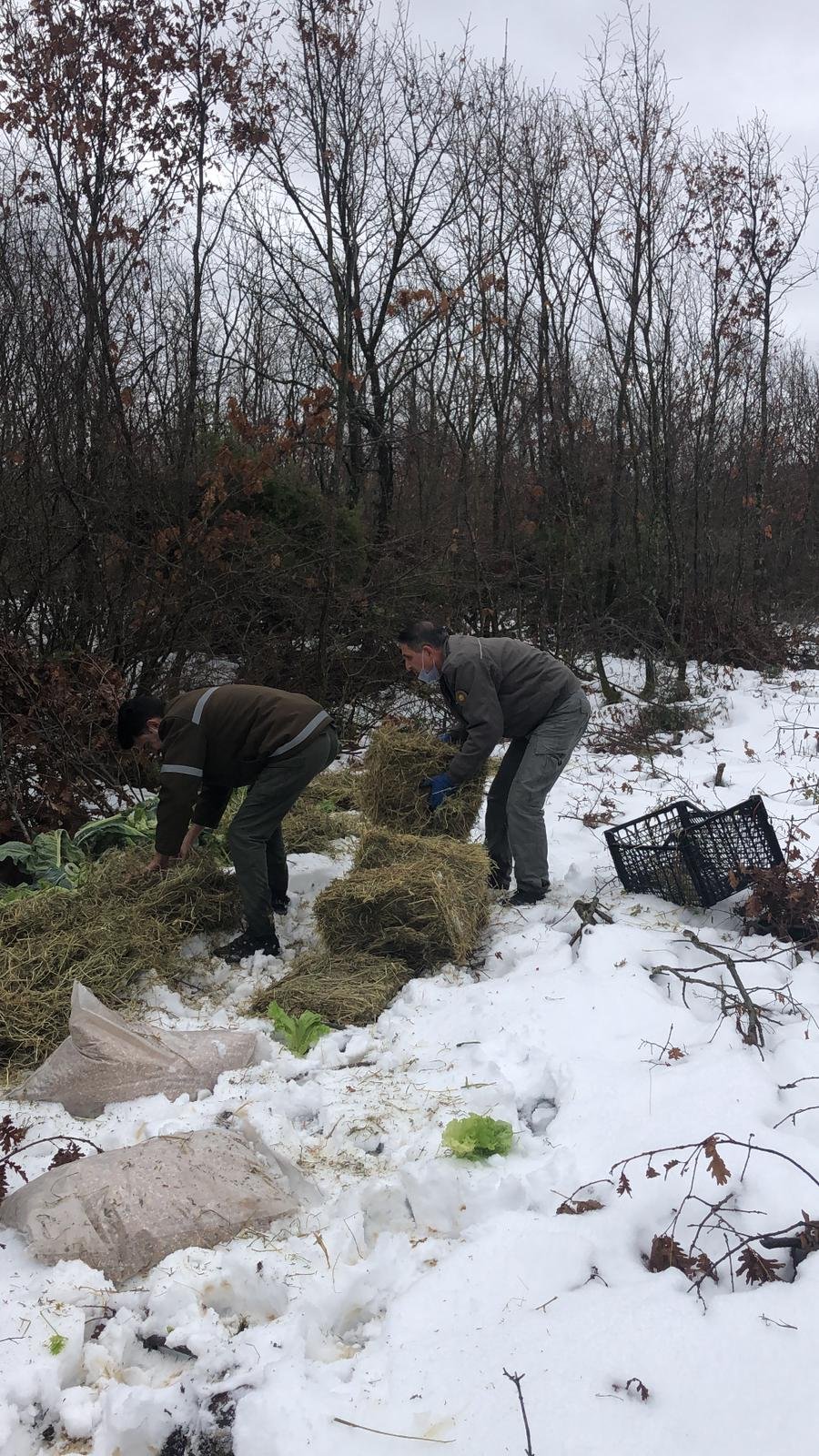 Tekirdağ'da yaban hayvanları için doğaya 4,5 ton yem bırakıldı
