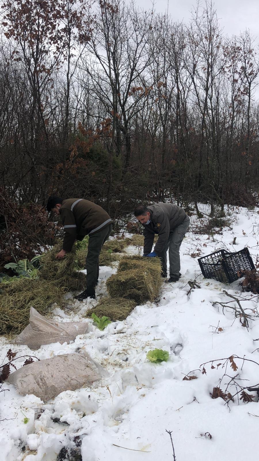 Tekirdağ'da yaban hayvanları için doğaya 4,5 ton yem bırakıldı