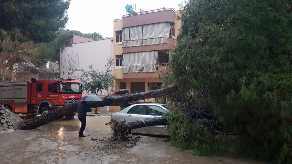 Fırtına, 5 asırlık çınara zarar verdi