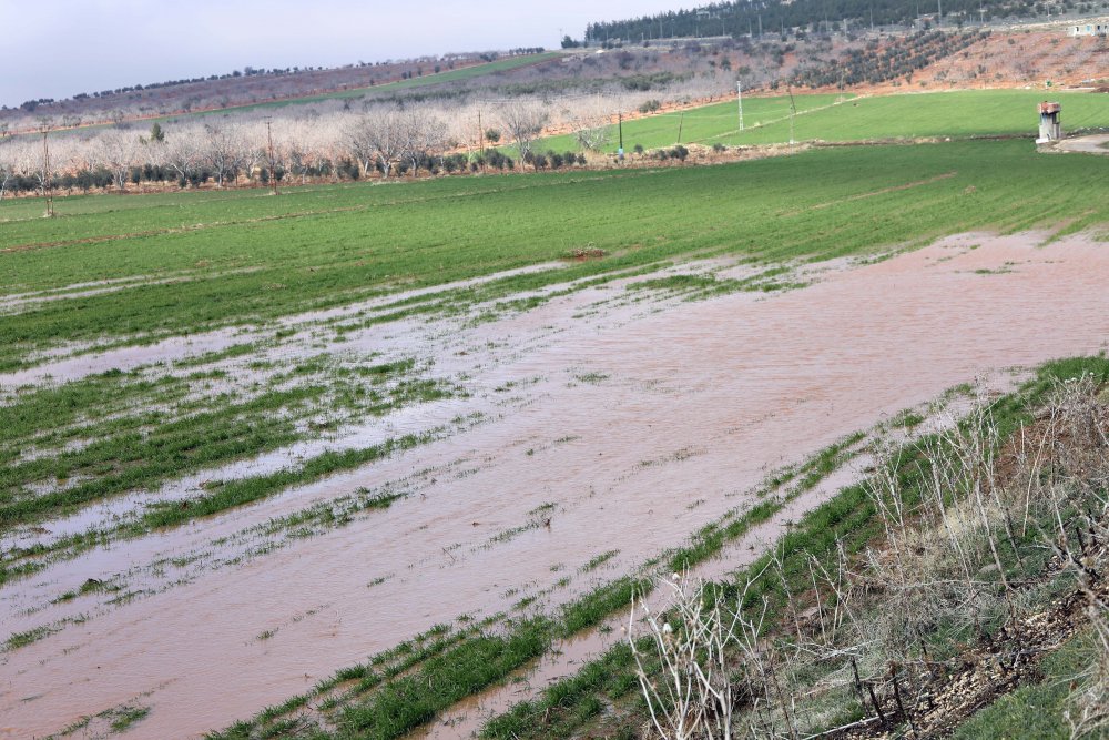 Gaziantep'te sağanak yağış sonrası tarlalar su altında kaldı