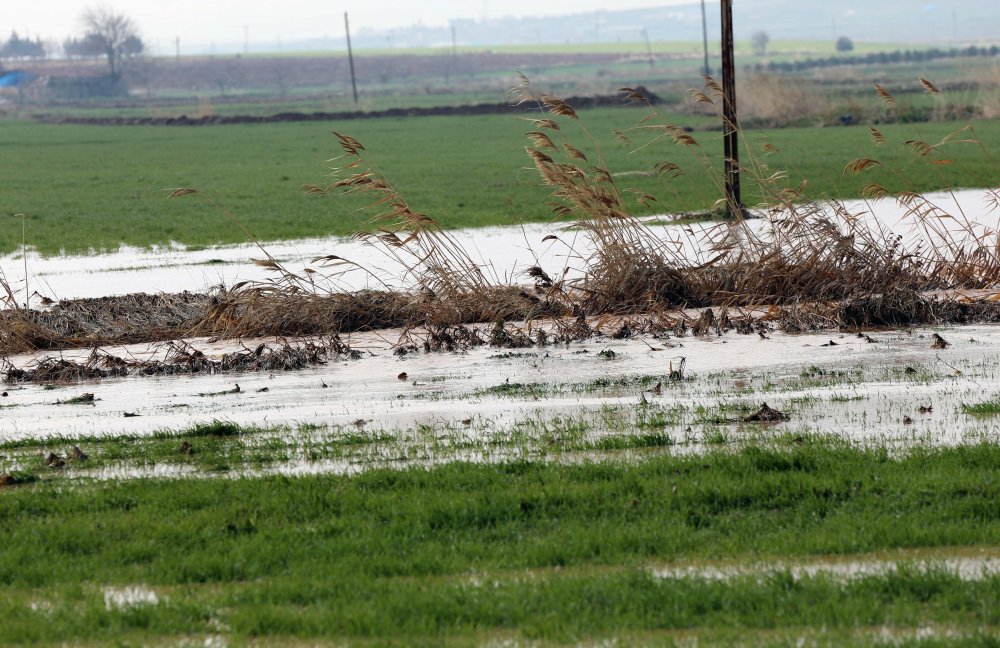 Gaziantep'te sağanak yağış sonrası tarlalar su altında kaldı