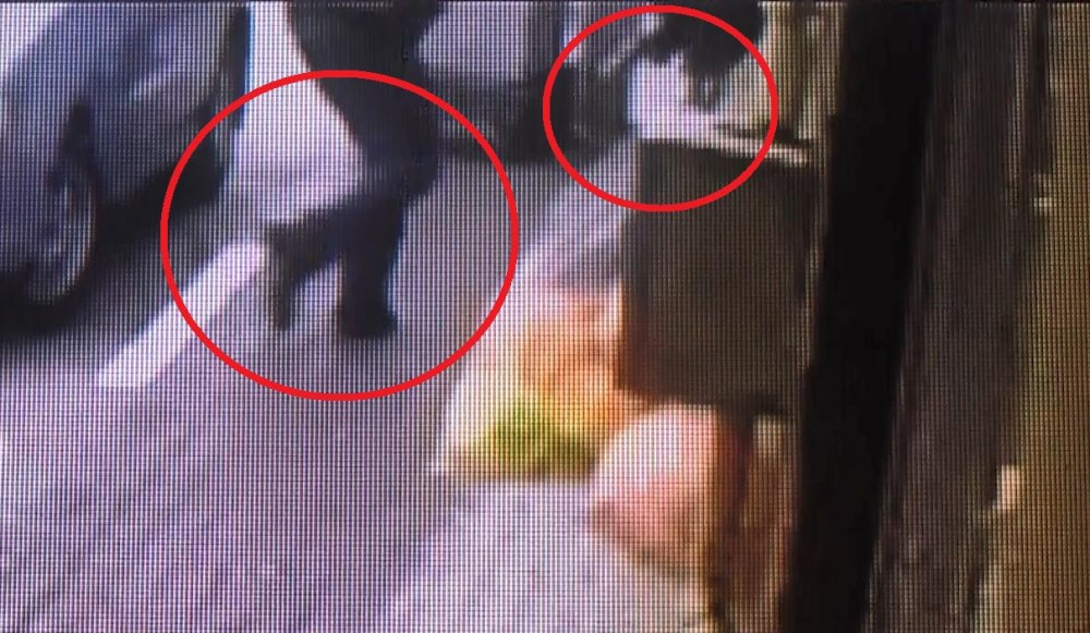 Husumetlisini ile bir kadını vurduktan sonra kaçan firari aynı silahla canına kıydı