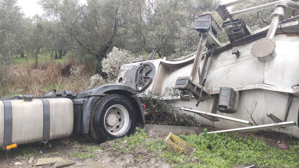 Kayganlaşan yolda devrilenTIR'ın taşıdığı tanker zeytinliğe savruldu