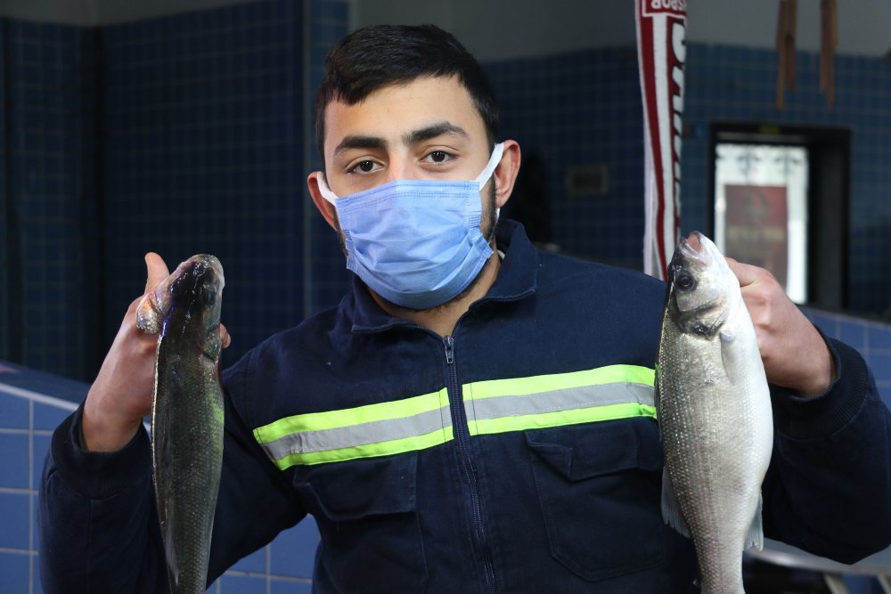 Kısıtlamada tezgahları farklı balıklar süsledi