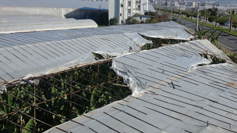 Mersin'de sağanak ve fırtına, muz seralarına zarar verdi