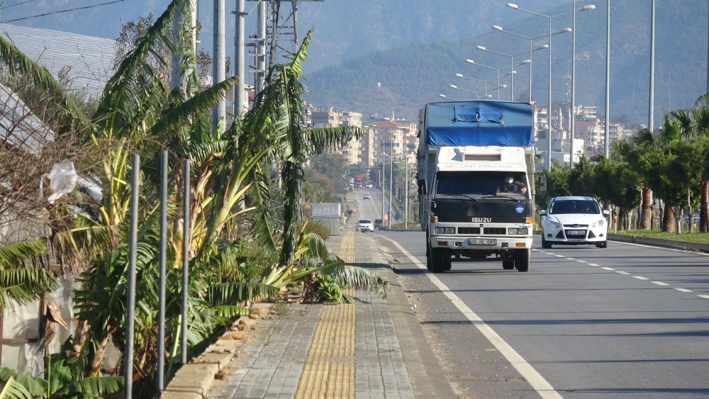 Mersin'de sağanak ve fırtına, muz seralarına zarar verdi