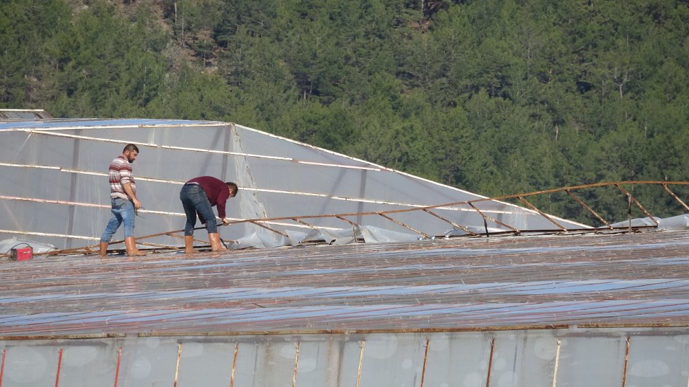 Mersin'de sağanak ve fırtına, muz seralarına zarar verdi