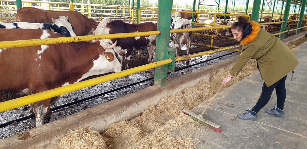 Öğretmenliği bırakıp çiftlik kurdu, şimdi hedefi daha çok istihdam sağlamak