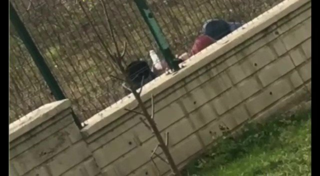 SAKARYA'nın Sapanca ilçesinde, küçük yaştaki çocuklar bahçe duvarının kenarında iddiaya göre uyuşturucu kullanırken görüntülendi