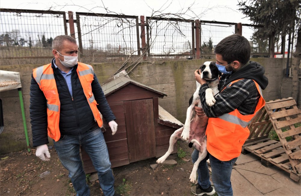Sokakta bulunan köpeği, belediye başkanı sahiplendi