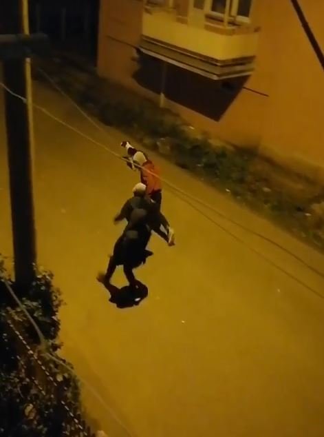Sokakta bulunan köpeği, belediye başkanı sahiplendi