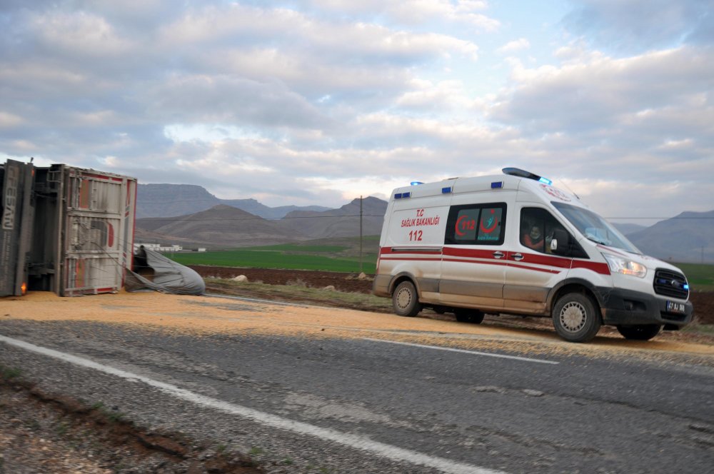 Derik'te devrilen TIR'daki tonlarca mısır, karayolunu trafiğe kapattı