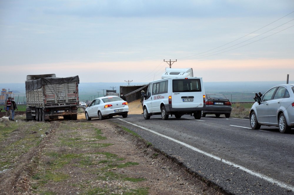 Derik'te devrilen TIR'daki tonlarca mısır, karayolunu trafiğe kapattı