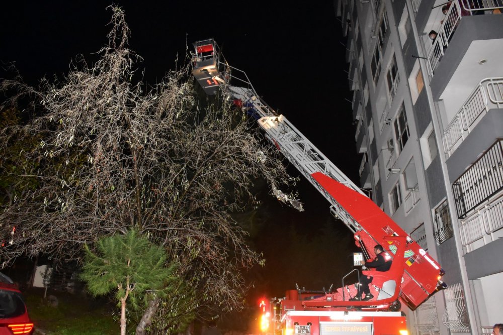 10 katlı apartmanın zemin katında çıkan yangında can pazarı yaşandı