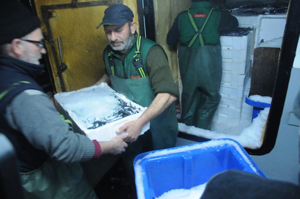 Hamsi avlama yasağı esnetildi, tekneler tonlarca balıkla döndü