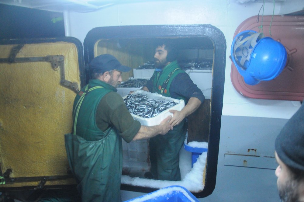 Hamsi avlama yasağı esnetildi, tekneler tonlarca balıkla döndü