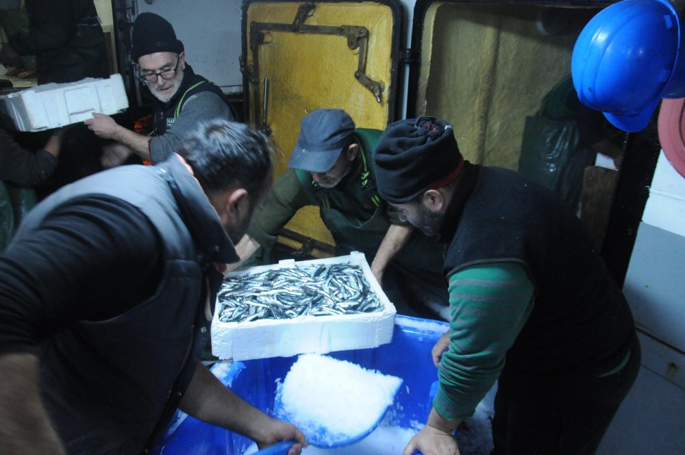 Hamsi avlama yasağı esnetildi, tekneler tonlarca balıkla döndü