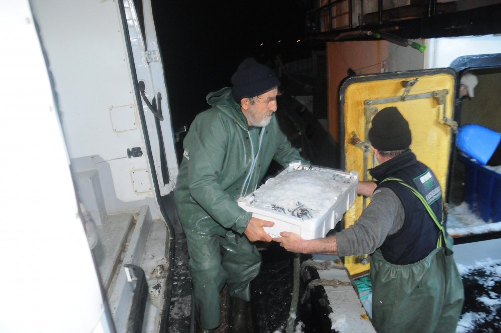 Hamsi avlama yasağı esnetildi, tekneler tonlarca balıkla döndü