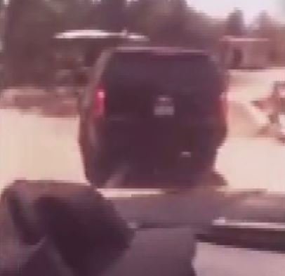 TikTok'ta insan kaçakçılığı reklamı