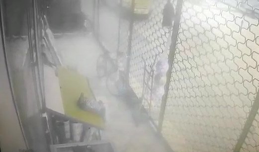 Kadının, sokak köpeklerinin saldırısına uğradığı anlar kamerada