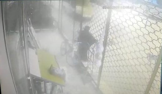 Kadının, sokak köpeklerinin saldırısına uğradığı anlar kamerada
