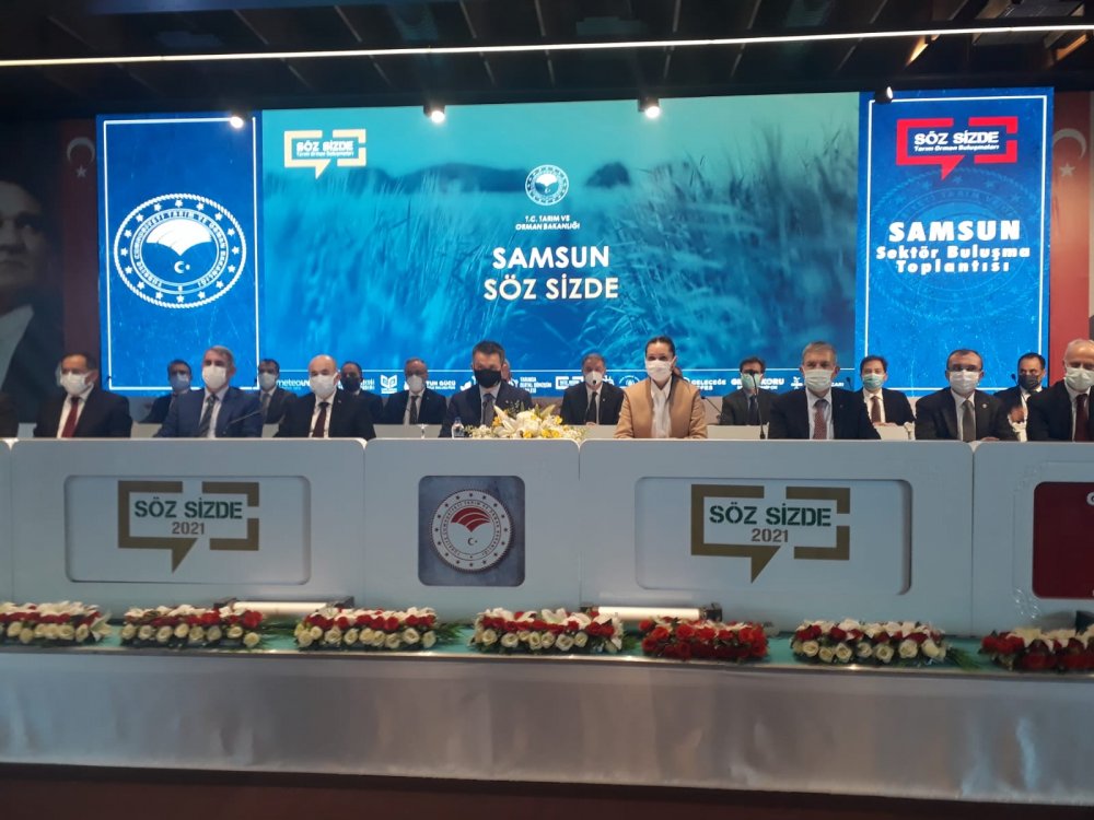 Karadeniz’de hamsi avı ek tedbirlerle başlayacak